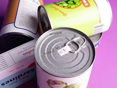 Alimentício