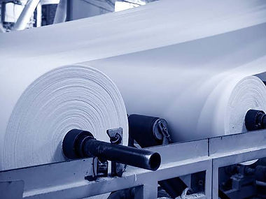 Papel e Celulose